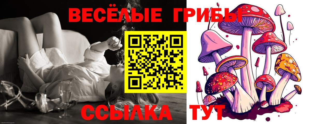 Галлюциногенные грибы Cubensis  Вход с VPN  Миасс  продажа наркотиков  Галлюциногенные грибы мухоморы 