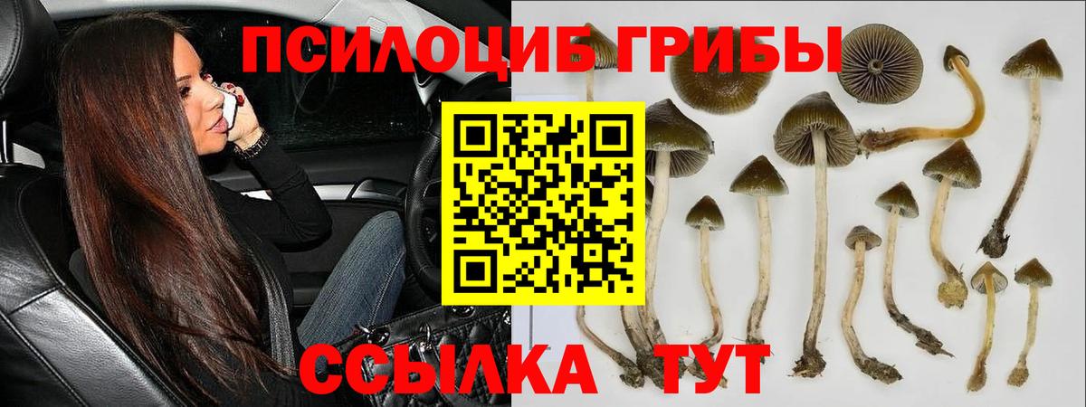 Псилоцибиновые грибы Magic Shrooms Миасс